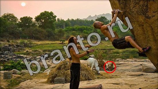 Решения на игру Где же кот Уровень 1163