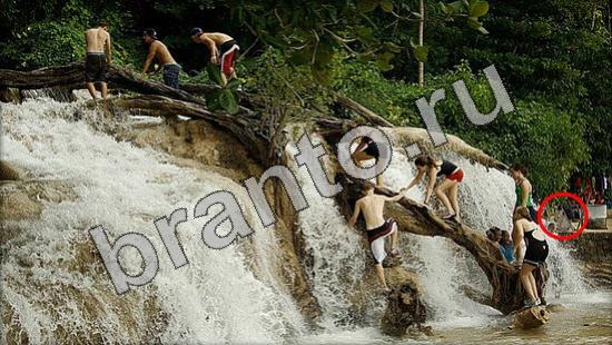 Помощь на игру Где же кот Уровень 1164