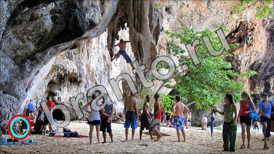 Где же кот? ответы Уровень 1168