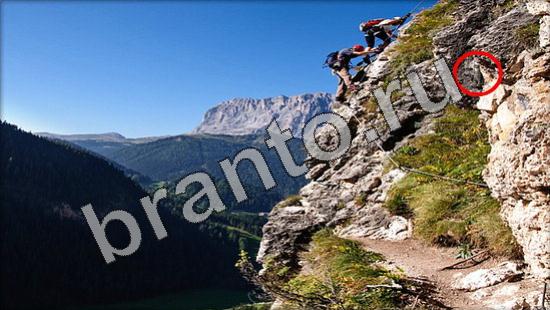 решебник на игру Где же кот Уровень 1171