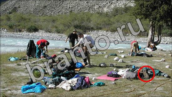 Где же кот? решения Уровень 1172