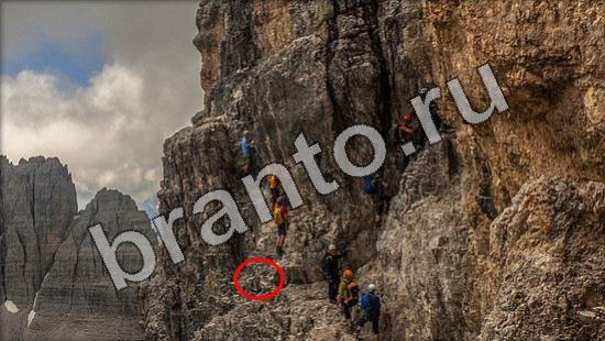 Игра Где же кот ответы Уровень 1177