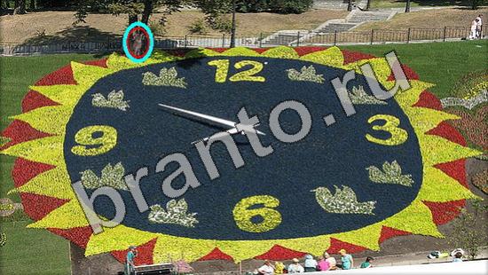 Подсказки на игру Где же кот Уровень 1202