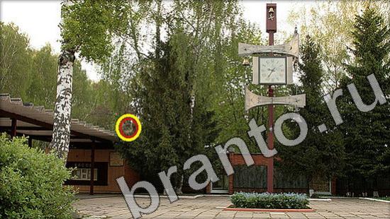 ответы к игре Где же кот Уровень 1205