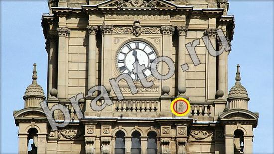 Где же кот? решения Уровень 1212