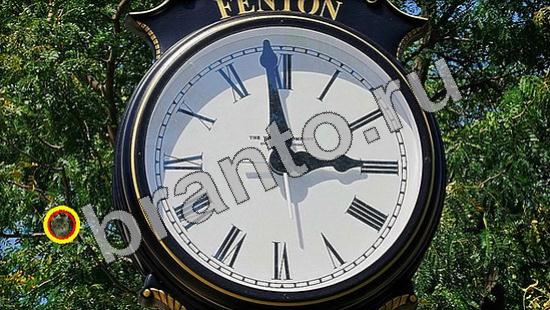 Где же кот игра помощь Уровень 1215