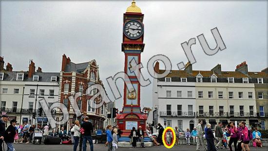 Где же кот ответы в картинках Уровень 1216