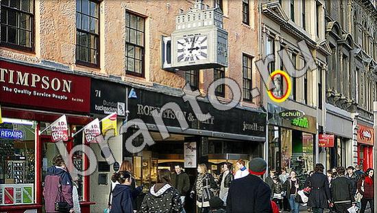 Игра Где же кот ответы Уровень 1217