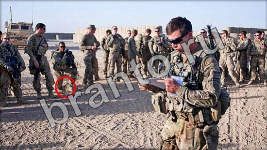 ответы на игру Где же кот в одноклассниках Уровень 1223