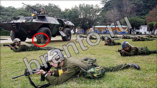 Прохождение игры Где же кот Уровень 1224