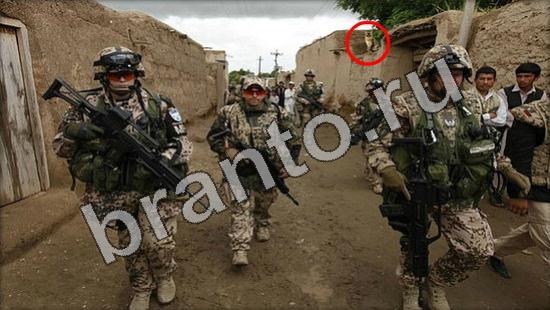 ответы Где же кот Уровень 1225