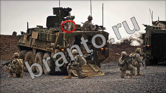 ответы Где же кот? в одноклассниках Уровень 1226