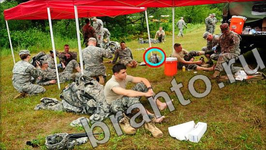 ответы для игры Где же кот Уровень 1227