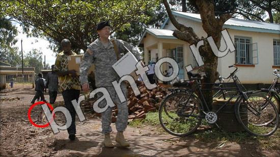 игра в одноклассниках Где же кот ответы Уровень 1230