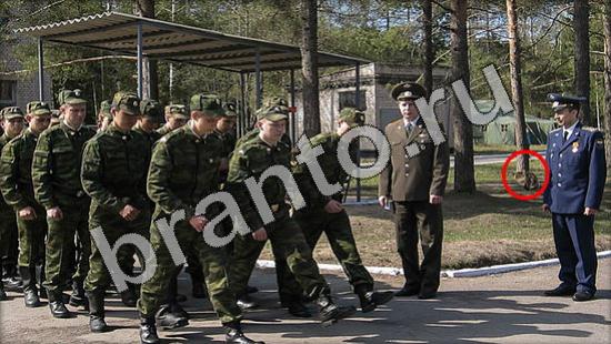 Где же кот помощь в картинках Уровень 1231