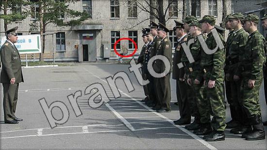 ответы на игру Где же кот в скриншотах Уровень 1232