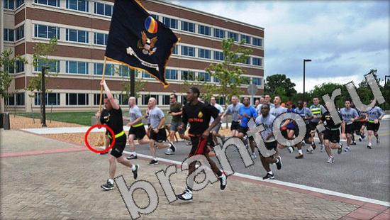 Где же кот ответы на новые задания Уровень 1233