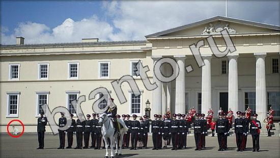 ответы на игру Где же кот Уровень 1234