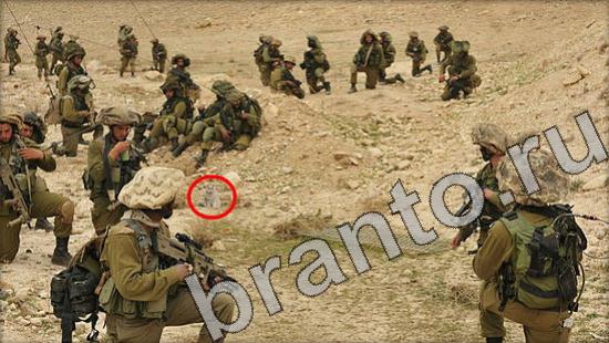 ответы на игру Где же кот Уровень 1236