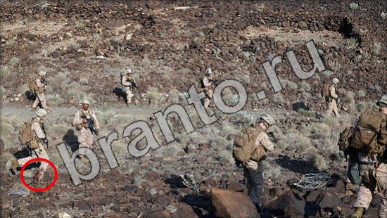 ответы на игру Где же кот Уровень 1237