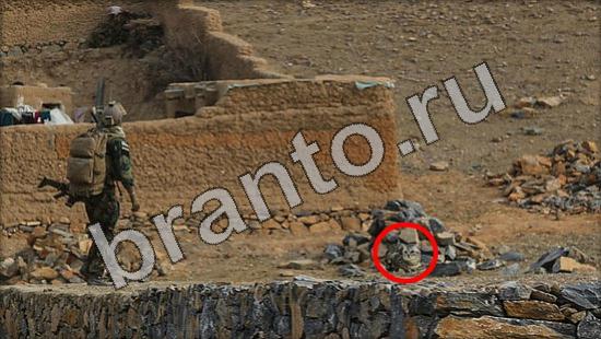 помощь на игру Где же кот Уровень 1238