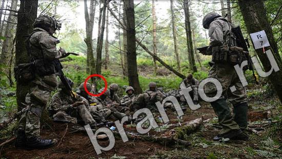 Где же кот ответы в одноклассниках Уровень 1239