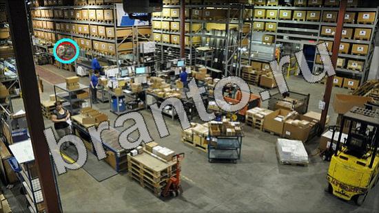 Где же кот игра ответы в одноклассниках Уровень 1247