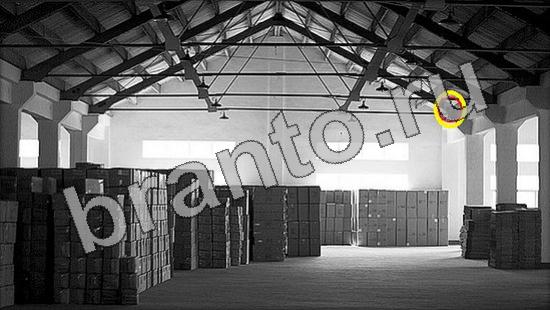 Где же кот? ответы Уровень 1248