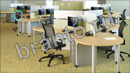 ответы Где же кот Уровень 1265