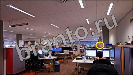 решения для игры Где же кот Уровень 1268