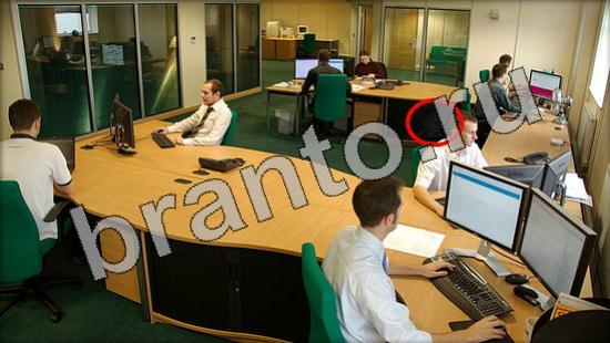 Где же кот ответы на новые задания Уровень 1273