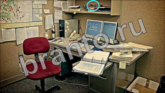 ответы на игру Где же кот Уровень 1274