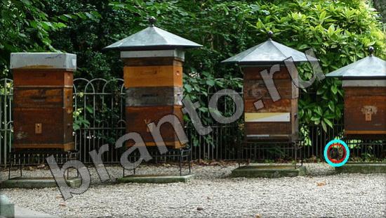 ответы на игру Где же кот Уровень 1361