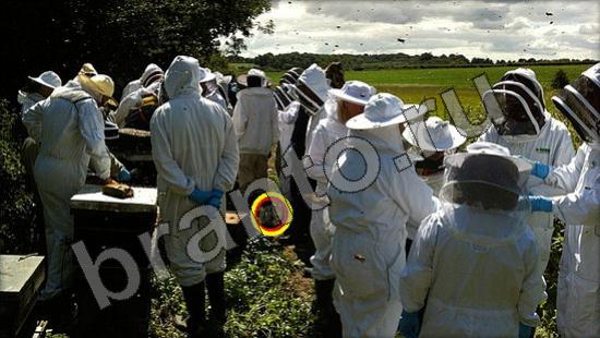 Где же кот игра ответы в одноклассниках Уровень 1367