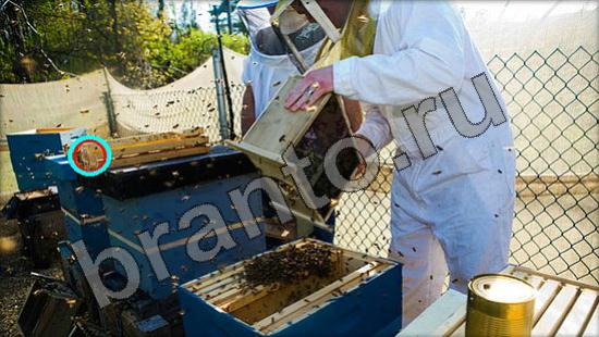 Где же кот? помощь Уровень 1370