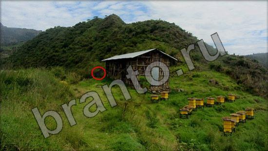 Где же кот игра ответы Уровень 1373