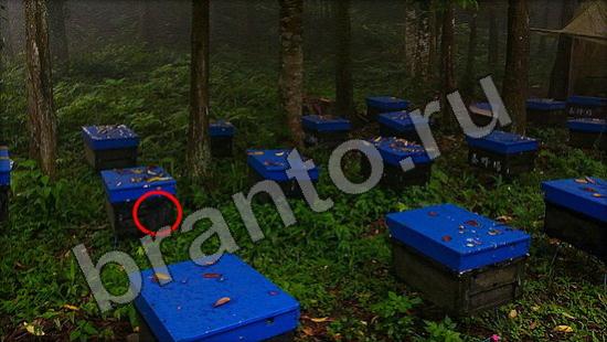 Где же кот ответы в картинках Уровень 1376