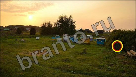 Игра Где же кот прохождение Уровень 1380