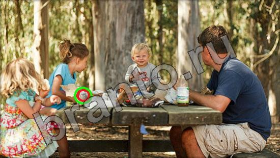 прохождение на игру Где же кот Уровень 1381