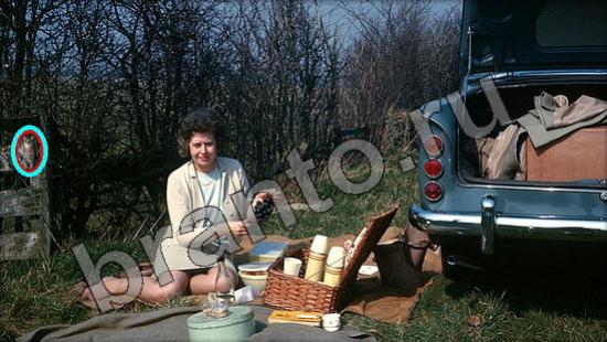 Где же кот прохождение игры Уровень 1382