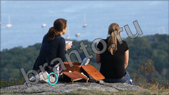 ответы на игру Где же кот в одноклассниках Уровень 1383