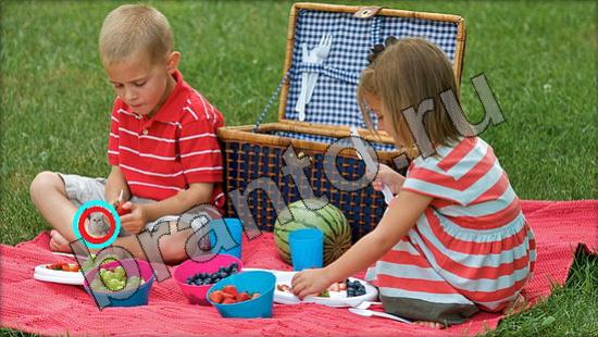 ответы Где же кот Уровень 1385