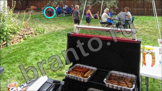 ответы Где же кот? в одноклассниках Уровень 1386