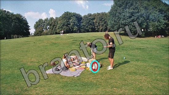 ответы для игры Где же кот Уровень 1387