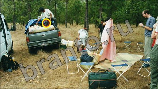 решения для игры Где же кот Уровень 1388