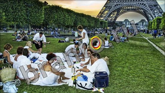 игра в одноклассниках Где же кот ответы Уровень 1390