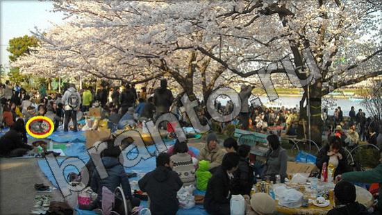 ответы на игру Где же кот в скриншотах Уровень 1392