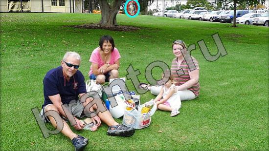 решения на игру Где же кот Уровень 1395