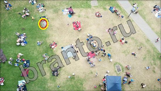 ответы на игру Где же кот Уровень 1396