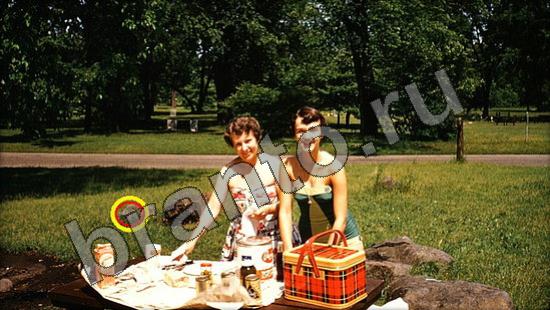 ответы в картинках на игру Где же кот Уровень 1397